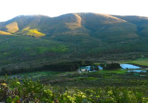 15 Jaar vir Flower Valley